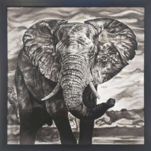 African Tusker by Gautam Bansal