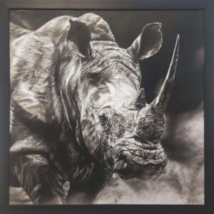 African White Rhino by Gautam Bansal