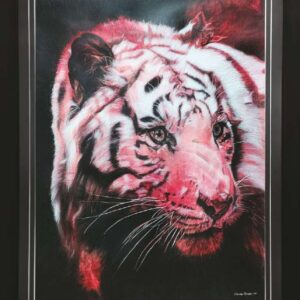 Tiger in Crimson by Gautam Bansal
